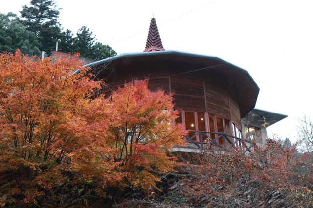 御岳山〜日の出山ハイキング part 3_f0348831_22123340.jpg