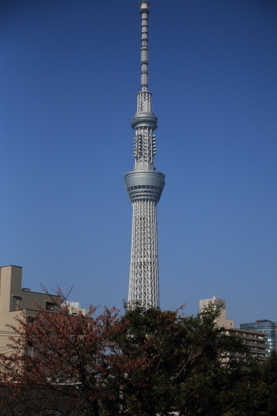 f0229832_16565144.jpg