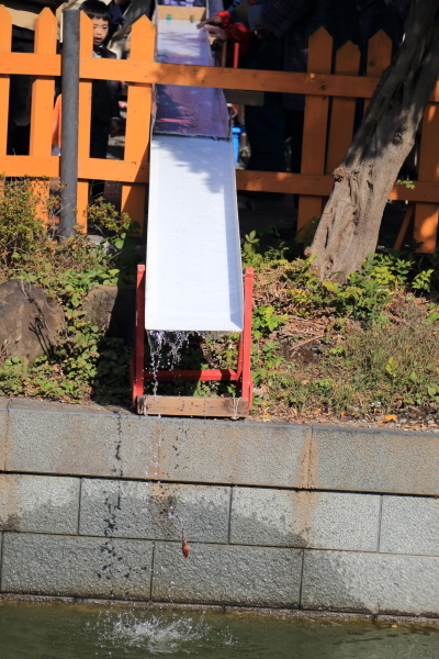 f0229832_16570852.jpg