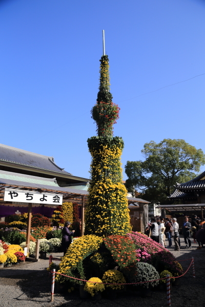 f0229832_16575882.jpg