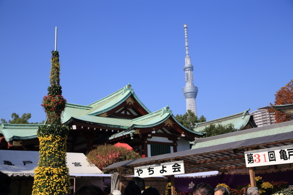 f0229832_16582514.jpg