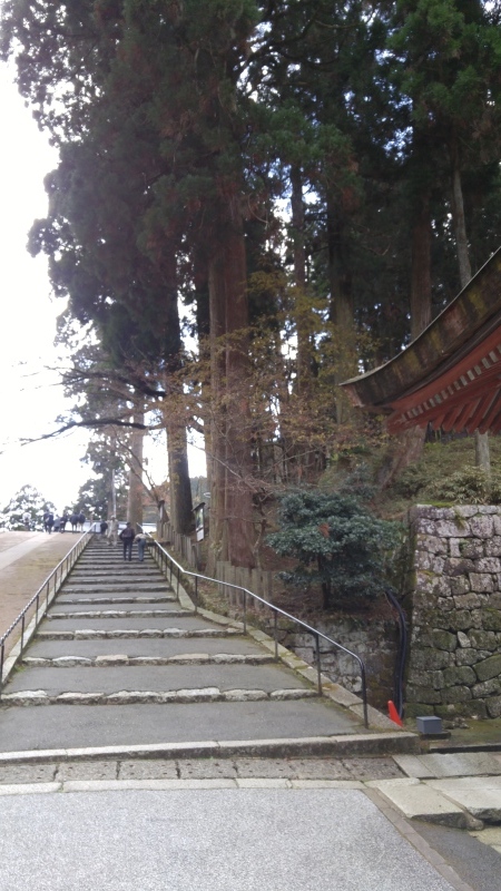 f0361132_17332119.jpg