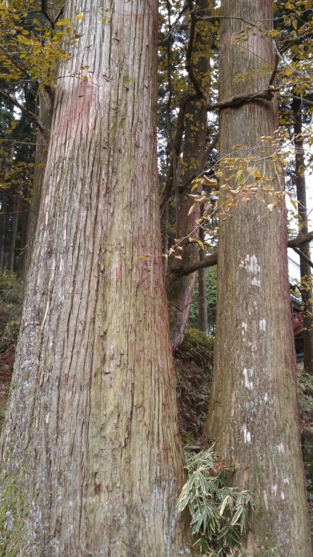 f0361132_17364034.jpg
