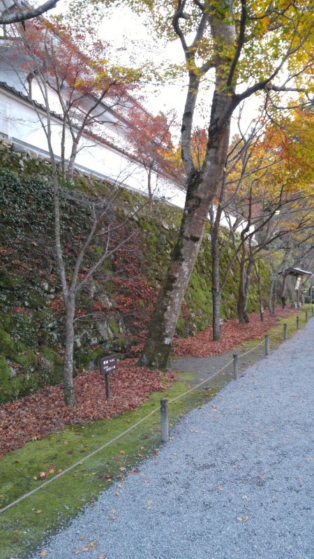 f0361132_17390158.jpg