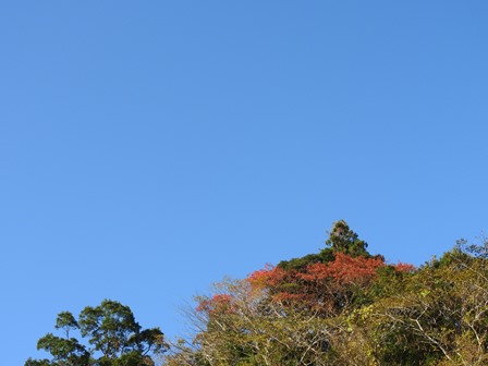 a0123836_14263939.jpg