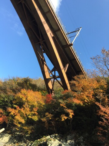 紅葉狩 京都トロッコ列車 保津川下り 嵐山 嵯峨野_e0134337_13100630.jpg
