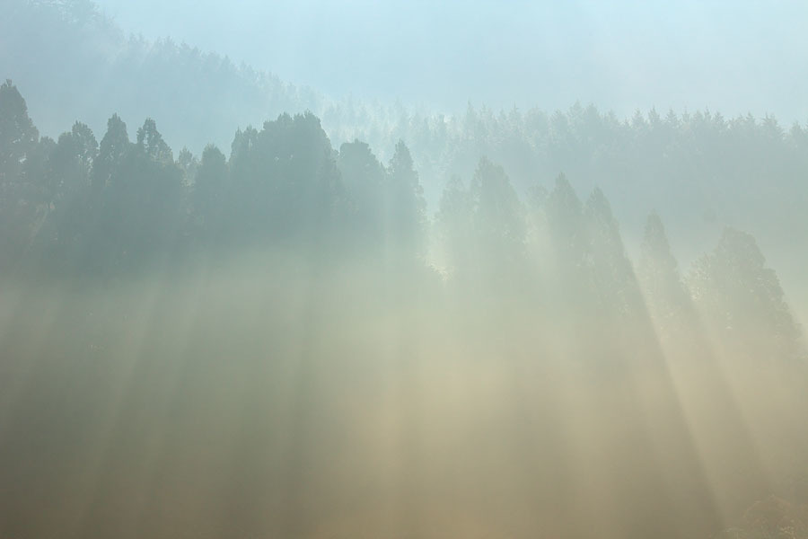c0067040_23120916.jpg