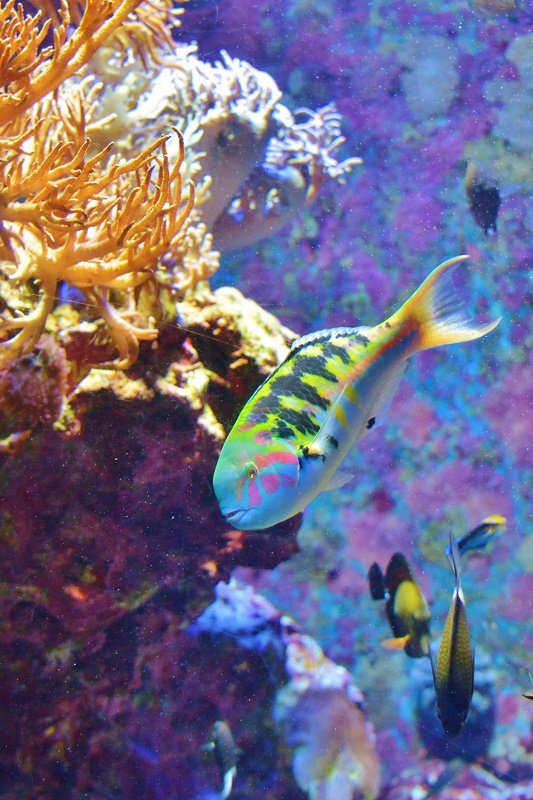 e0095142_17113634.jpg
