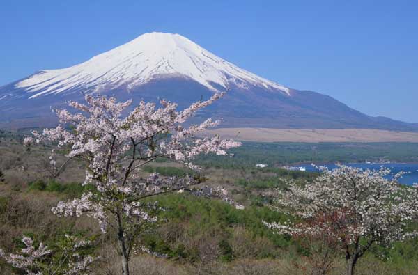 富嶽百景_c0162844_1910071.jpg