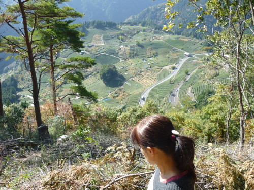c0349149_16501699.jpg