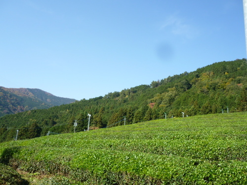 c0349149_16505878.jpg