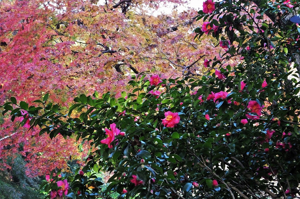 b0236251_1173232.jpg