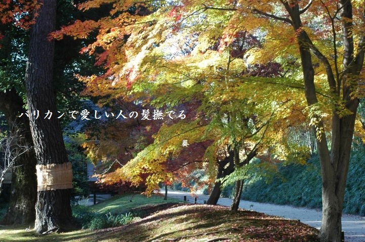 f0379160_18150044.jpg