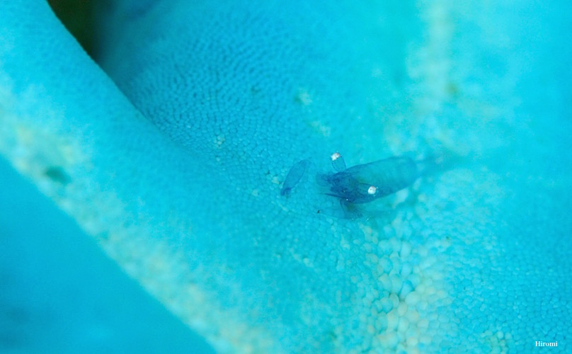 e0158261_1950020.jpg
