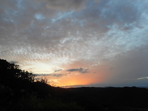 a0288162_15343963.jpg