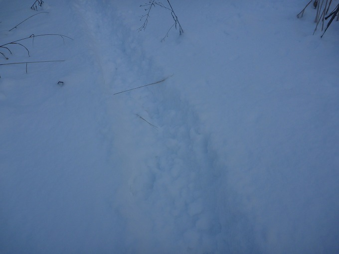 c0351262_13565782.jpg