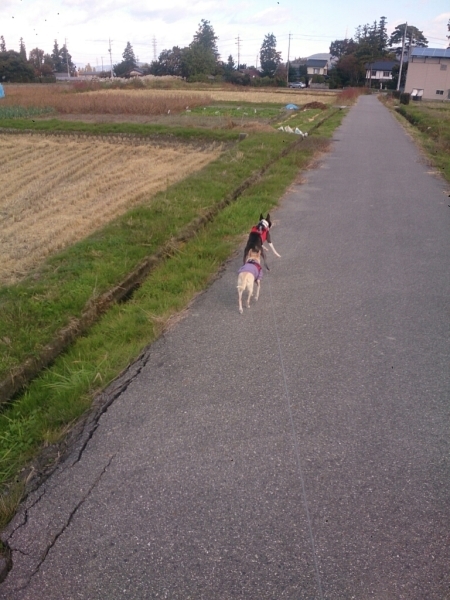 f0046262_07504700.jpg