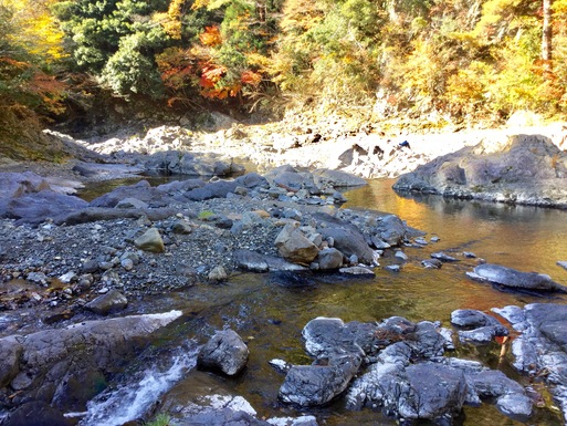 和歌山県・丹生都比売神社エリア~高野山への林道(4)_a0053063_21355719.jpg