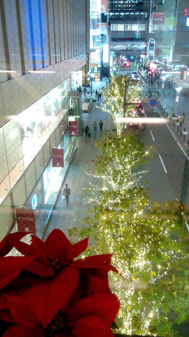 b0340367_17432209.jpg