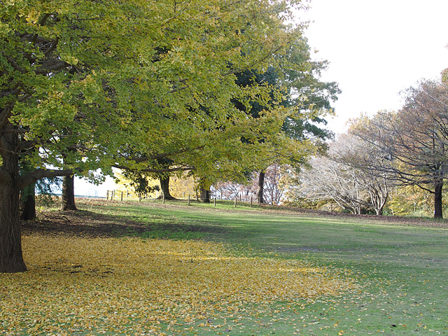 b0006870_2248543.jpg
