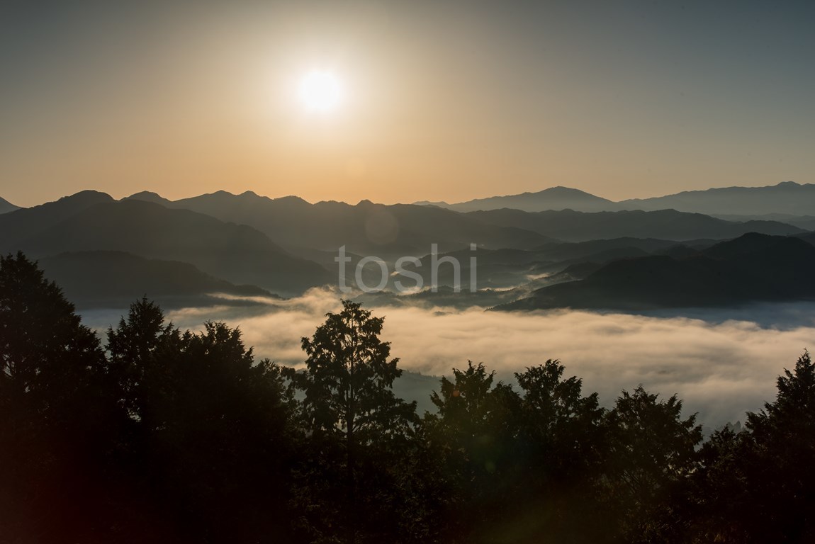 鳥見山雲海　今年はこれで最後か_c0350572_18520984.jpg