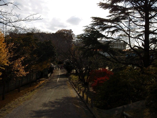 b0155973_16533333.jpg