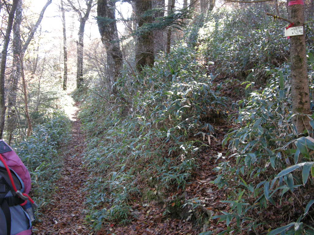b0185573_14292482.jpg