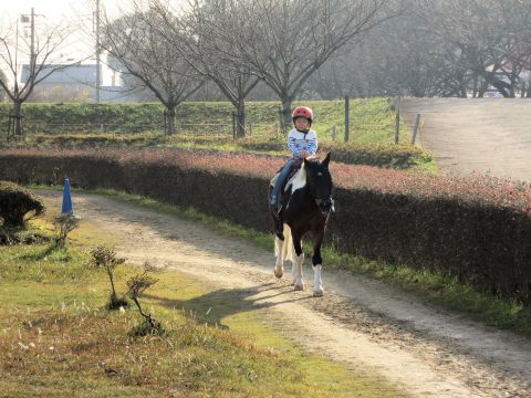 幼少期の想い出_f0047773_11193270.jpg