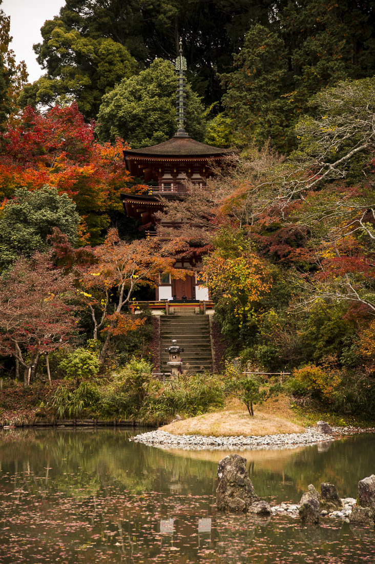 浄瑠璃寺の紅葉 1_a0301676_21121738.jpg