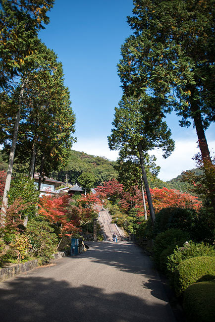 b0280176_17574650.jpg