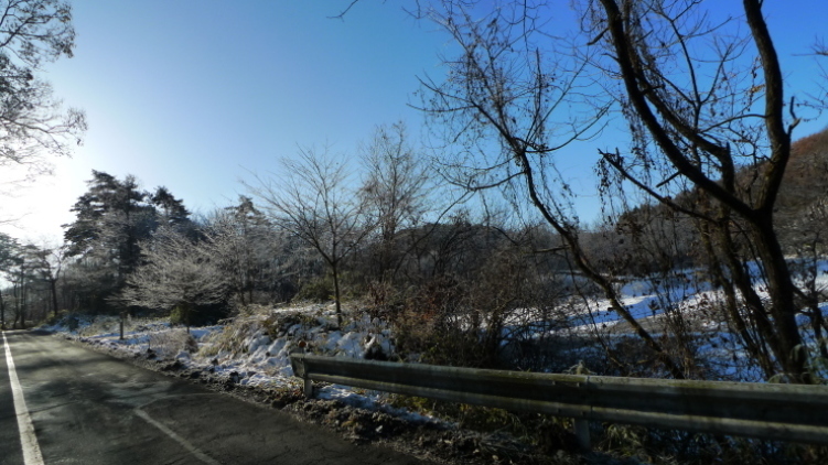 c0212083_15291762.jpg