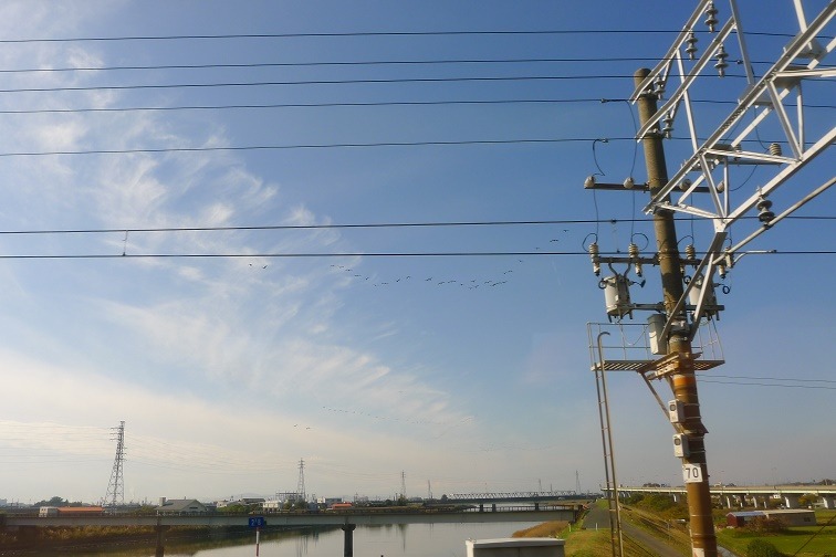 a0130586_15474216.jpg