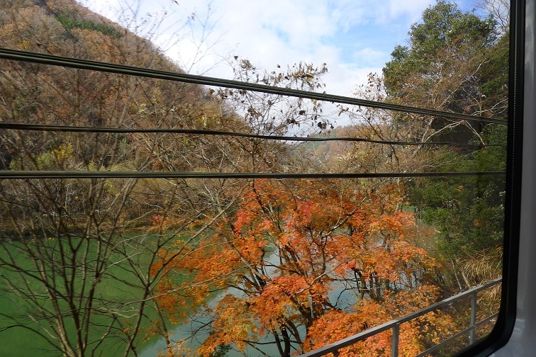 a0130586_1674390.jpg