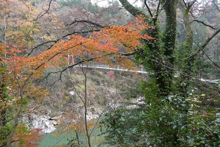 a0130586_17391128.jpg