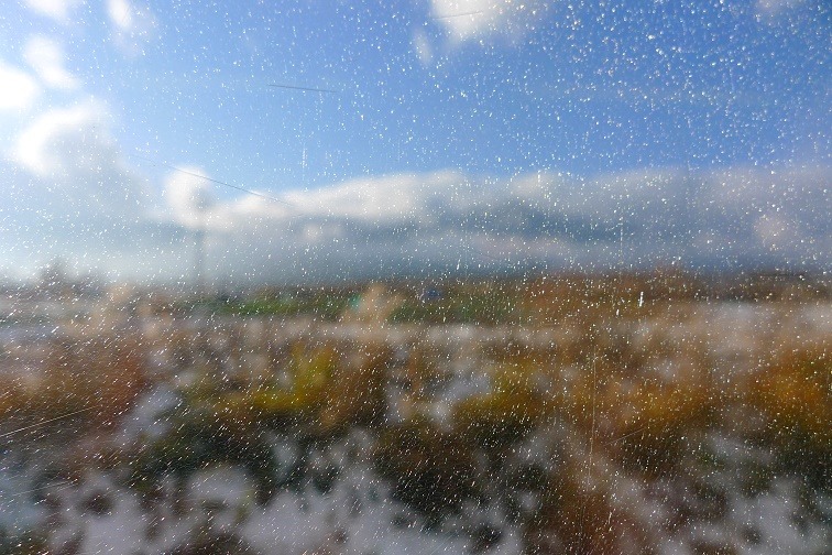 a0130586_192176.jpg