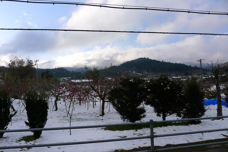 a0130586_1995051.jpg