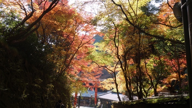 京都の紅葉2016年＠嵐山・奥嵯峨_f0146587_01071854.jpg