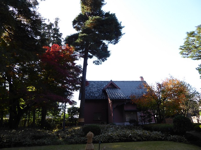 色とりどりの紅葉の赤が重なり合う大田黒公園♪荻窪の3庭園巡り_b0287088_19354065.jpg