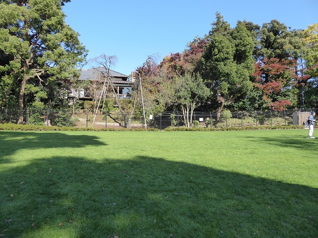 色とりどりの紅葉の赤が重なり合う大田黒公園♪荻窪の3庭園巡り_b0287088_19562715.jpg