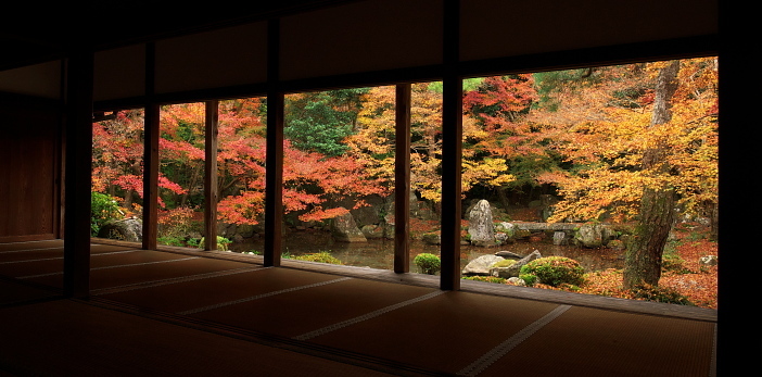 紅葉だより2016～洛北・蓮華寺～(11/23)_d0026589_00092459.jpg