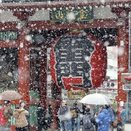 東京にも雪が降る_c0352790_14192384.jpg