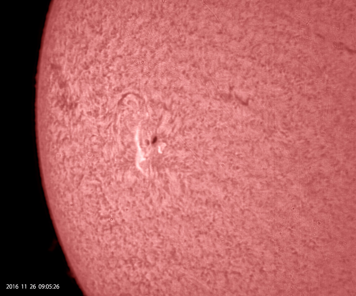 11月26日の太陽_e0174091_10543344.jpg