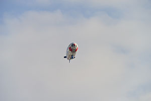 e0142193_15232588.jpg