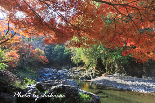 玉川峡の紅葉_a0135396_2213040.jpg