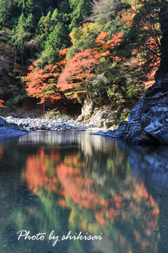 玉川峡の紅葉_a0135396_2213879.jpg