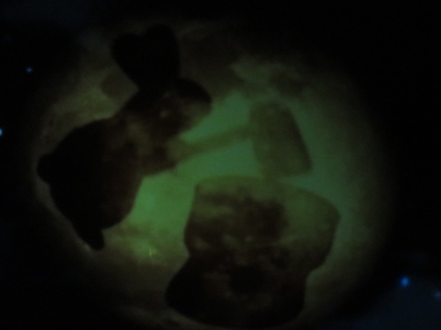 f0346196_15524144.jpg