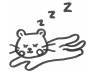 マツコばあちゃん 新生活スタート!_f0242002_21053645.jpg