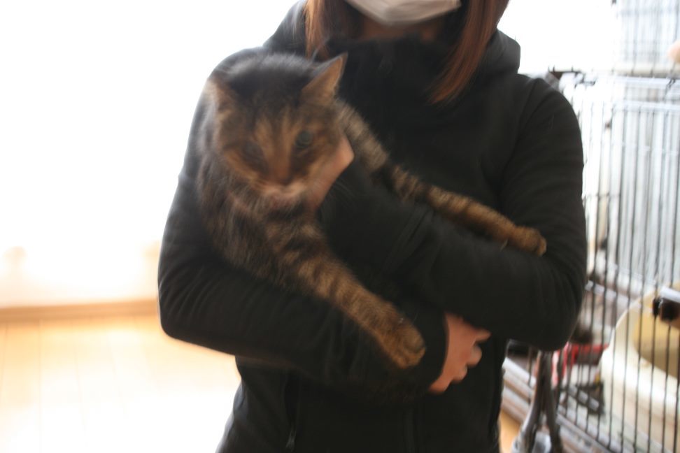 マツコばあちゃん 新生活スタート!_f0242002_21064330.jpg