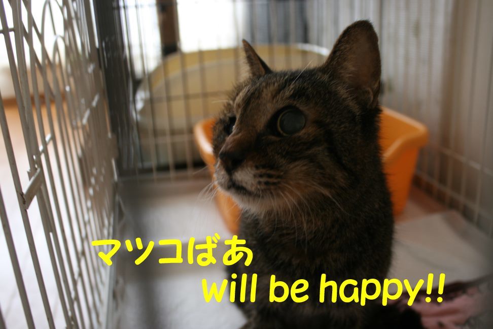 マツコばあちゃん 新生活スタート!_f0242002_21065317.jpg