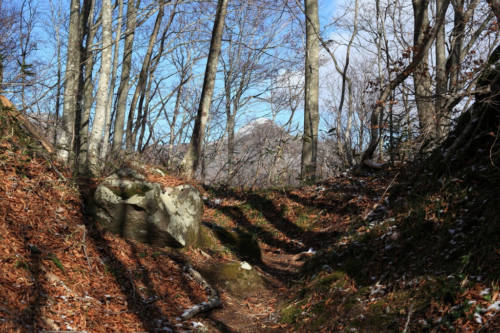 b0050305_19135445.jpg